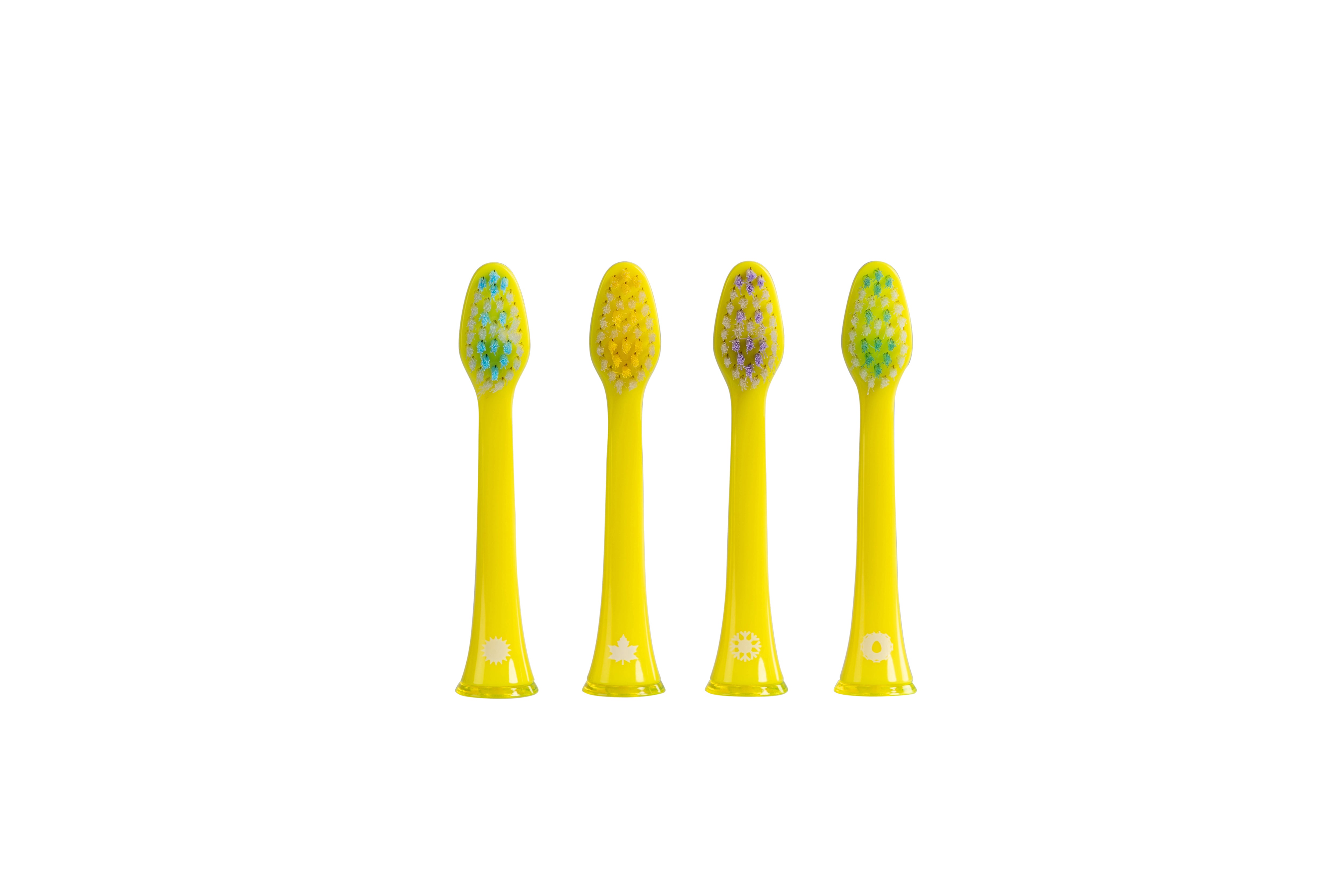 Alle seizoenen in 1! (groen of geel) (4x) (Brievenbuspakketje)
