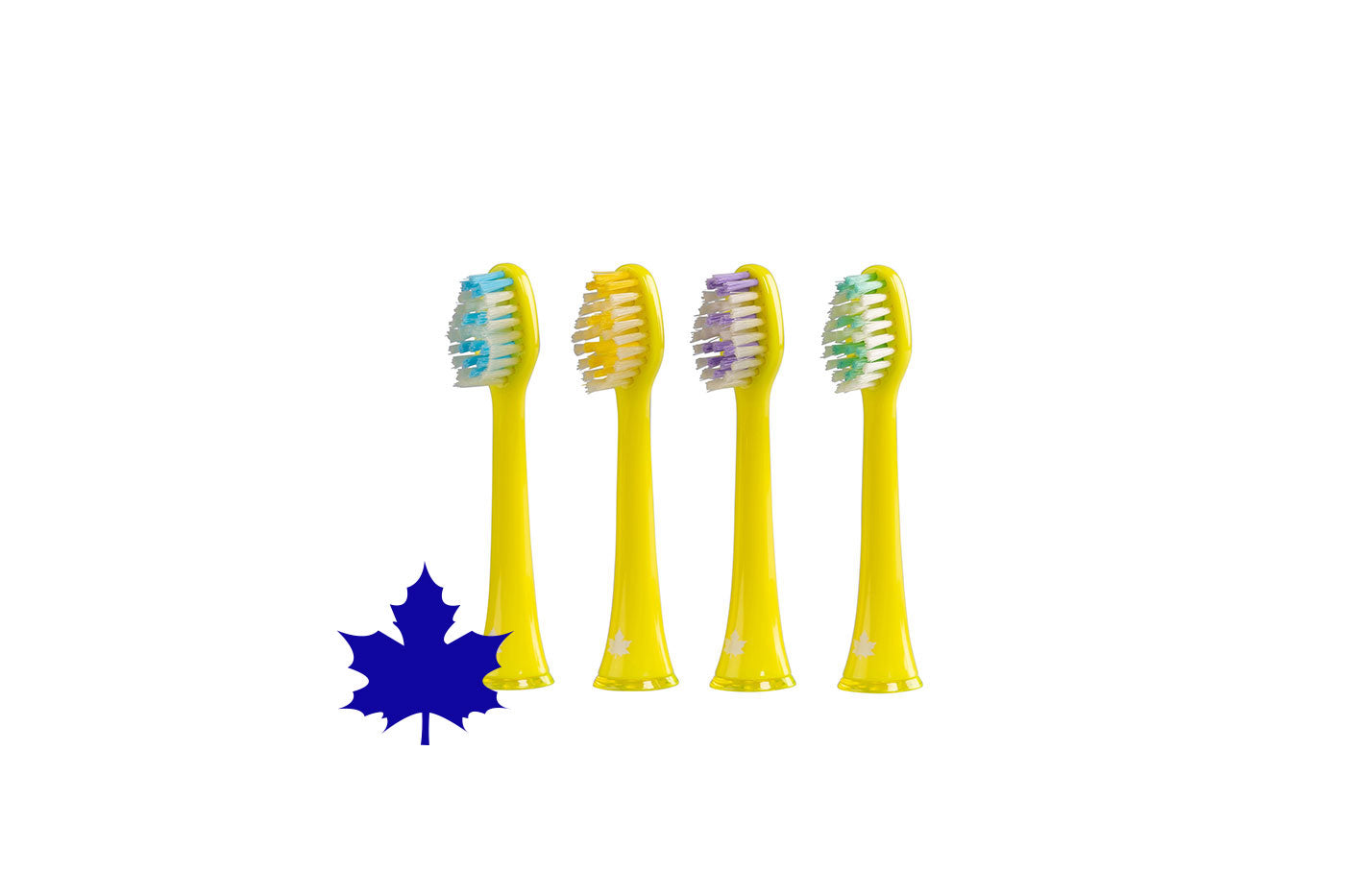 Pütz herfst opzetborstels voor elektrische tandenborstel